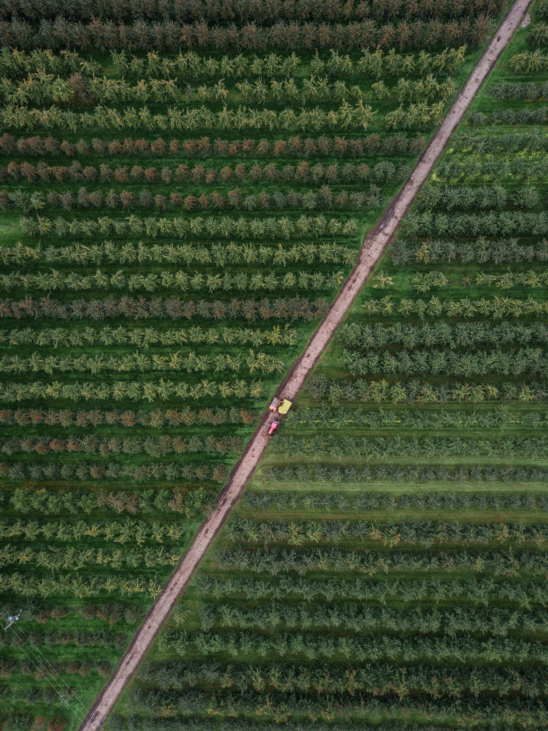 SIG en la agricultura colombia